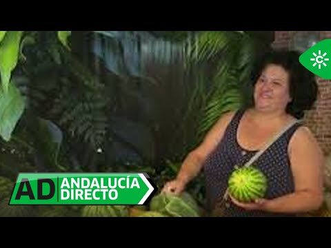 Gu&iacute;a para Comprar Productos de Belleza en Arcos de la Frontera