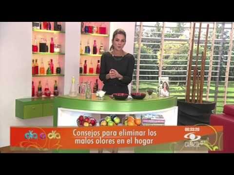 Clases de Ajedrez en Barbate: Dónde Encontrarlas