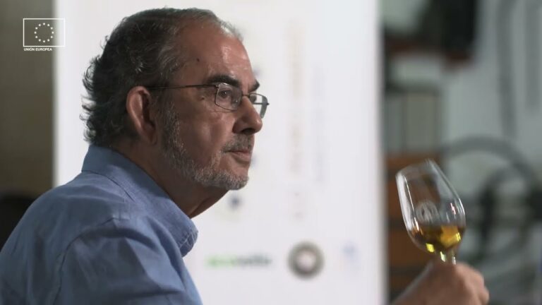 Guía para Encontrar Alimentos Orgánicos en Jerez de la Frontera