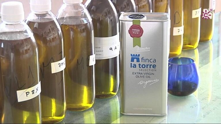 Catas de Aceite en Barbate: Descubre los Mejores Lugares