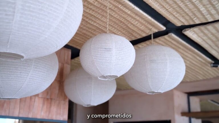 Guía para Comprar Alimentos Ecológicos en Barbate