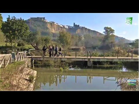 Rutas en Bicicleta cerca de Arcos de la Frontera