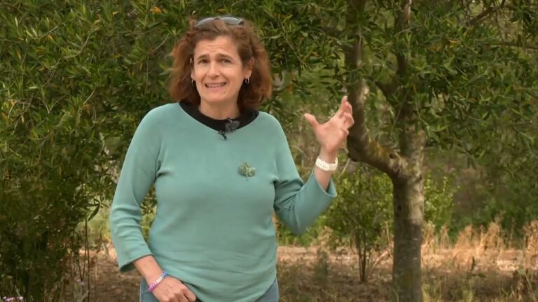 Descubre los Jardines Bot&aacute;nicos en C&aacute;diz