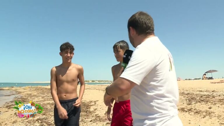 Playas para Perros cerca de Barbate: Gu&iacute;a Pr&aacute;ctica