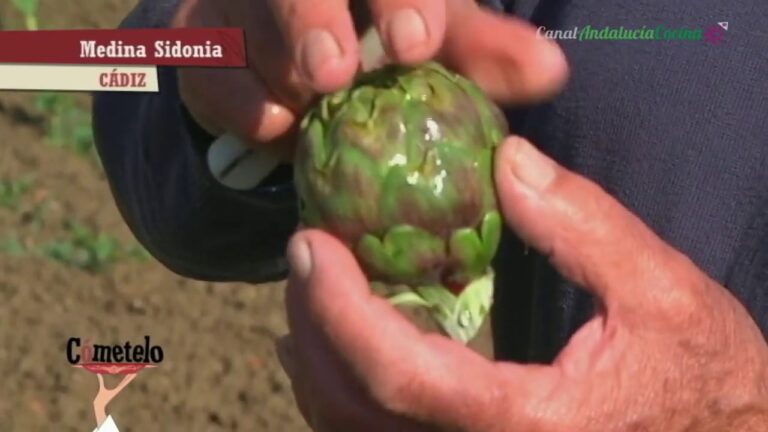 Mejores lugares para comprar pan artesanal en Medina-Sidonia